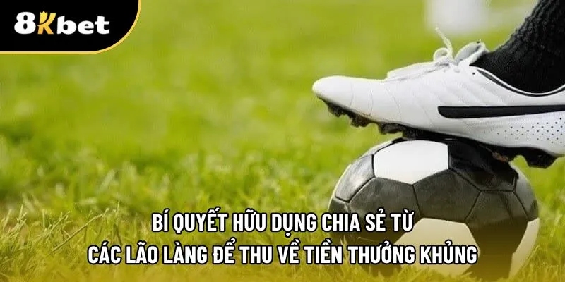 Bí kíp từ các dân chuyên cá độ
