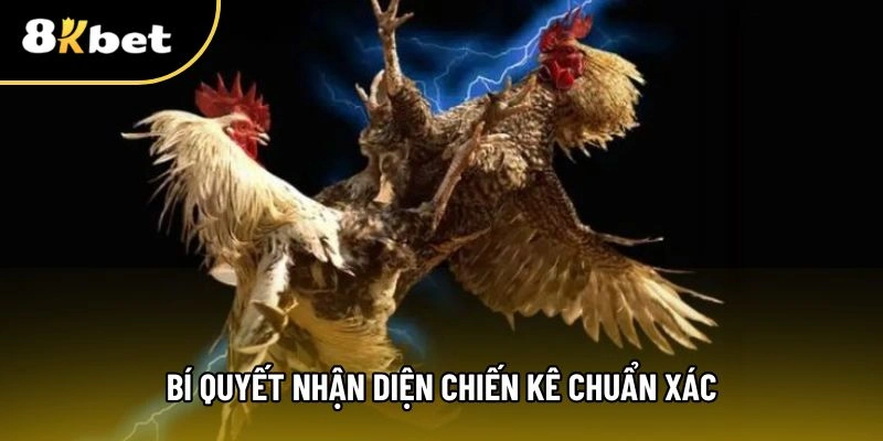 Cách thức nắm bắt và phán đoán chuẩn xác chiến kê