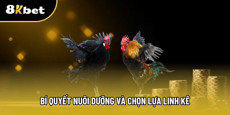 Hướng dẫn nuôi và rèn luyện chiến kê