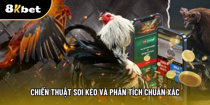 Chiến thuật soi kèo đá gà cựa dao trực tuyến