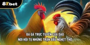 Đá gà trực tuyến cựa dao