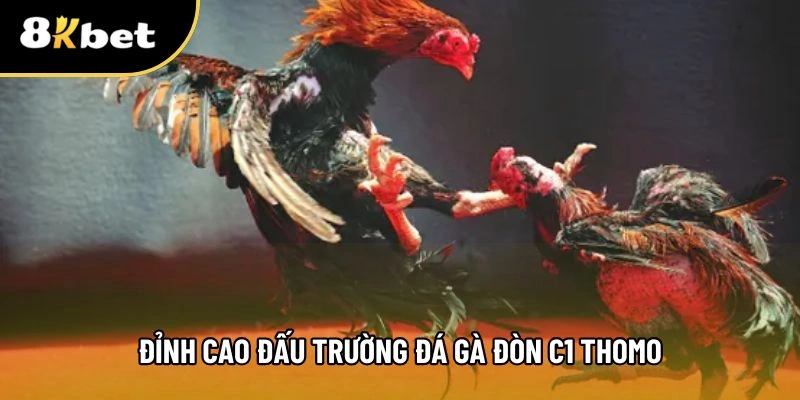 Đá gà đòn c1 thomo giải trí trực tuyến đỉnh cao