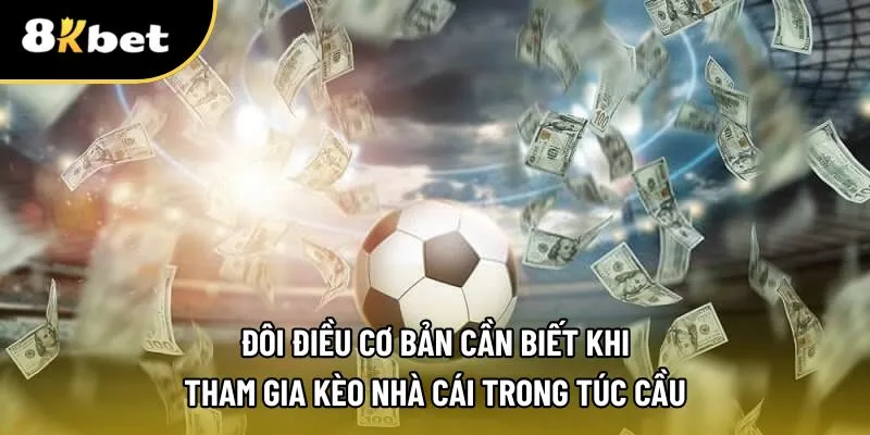Điều bạn cần biết về kèo nhà cái