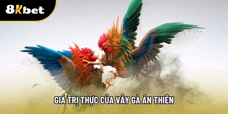 Phân tích giá trị của vảy gà án thiên