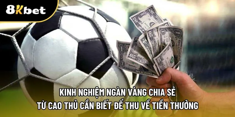 Kinh nghiệm quý báu từ các cao thủ