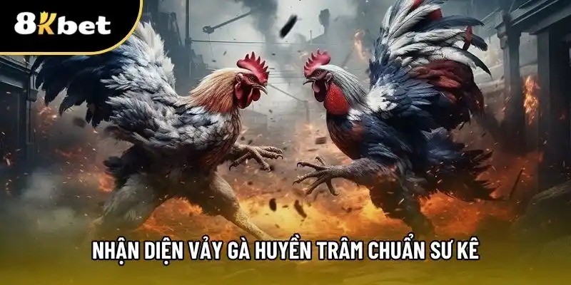 Hướng dẫn nhận diện vảy gà huyền trâm