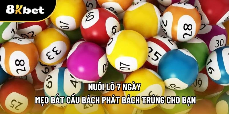 Nuôi lô 7 ngày
