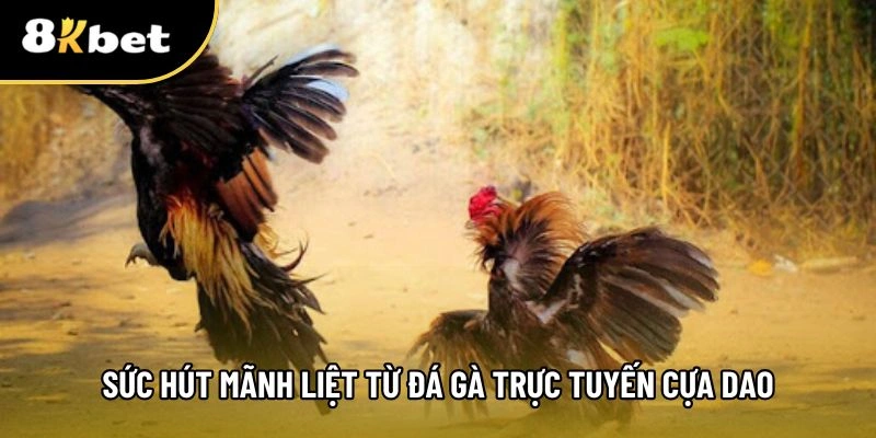 Đá gà trực tuyến cựa dao tạo sức hấp dẫn khó cưỡng cho cược thủ