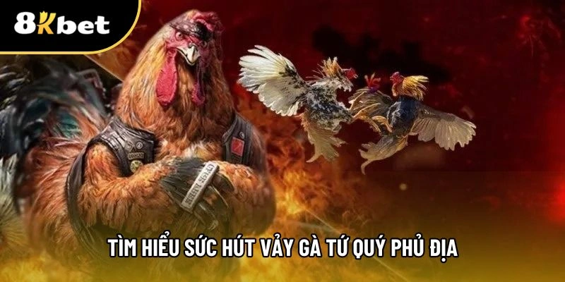 Vảy gà tứ quý phủ địa là gì