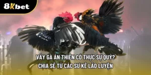 Vảy gà án thiên