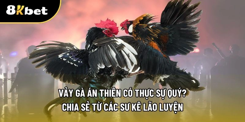 Vảy gà án thiên