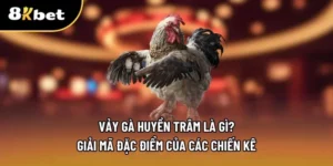 Vảy gà huyền trâm