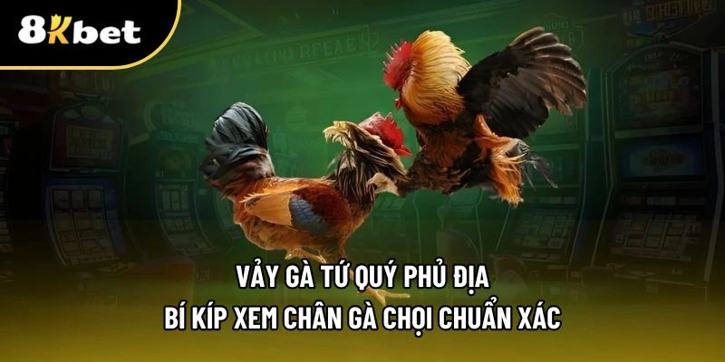 vảy gà tứ quý phủ địa